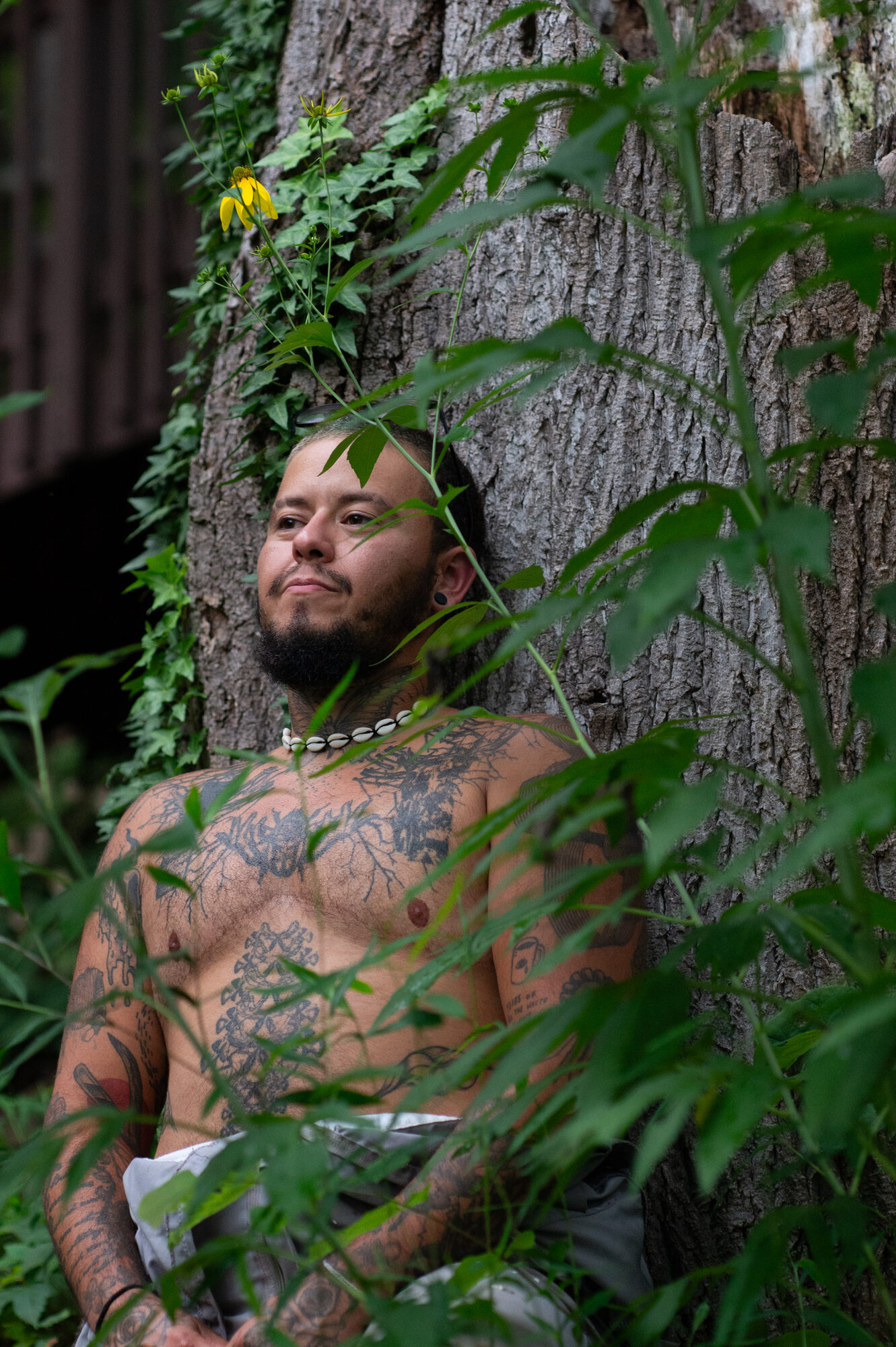 Portrait of a tattooed trans man, E, sitting against a large tree trunk, framed by green leaves and a single yellow wildflower. This was his T-anniversary.